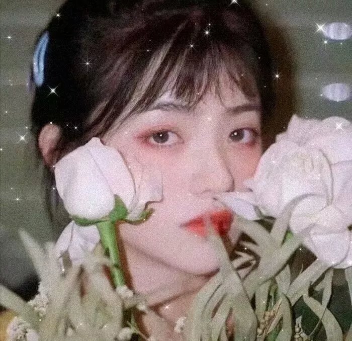 杀手老婆的保镖