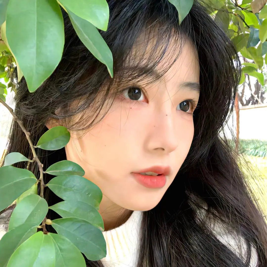 鹬